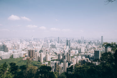 trees in shenzhen