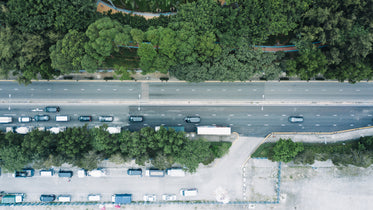 trees meet road aerial view