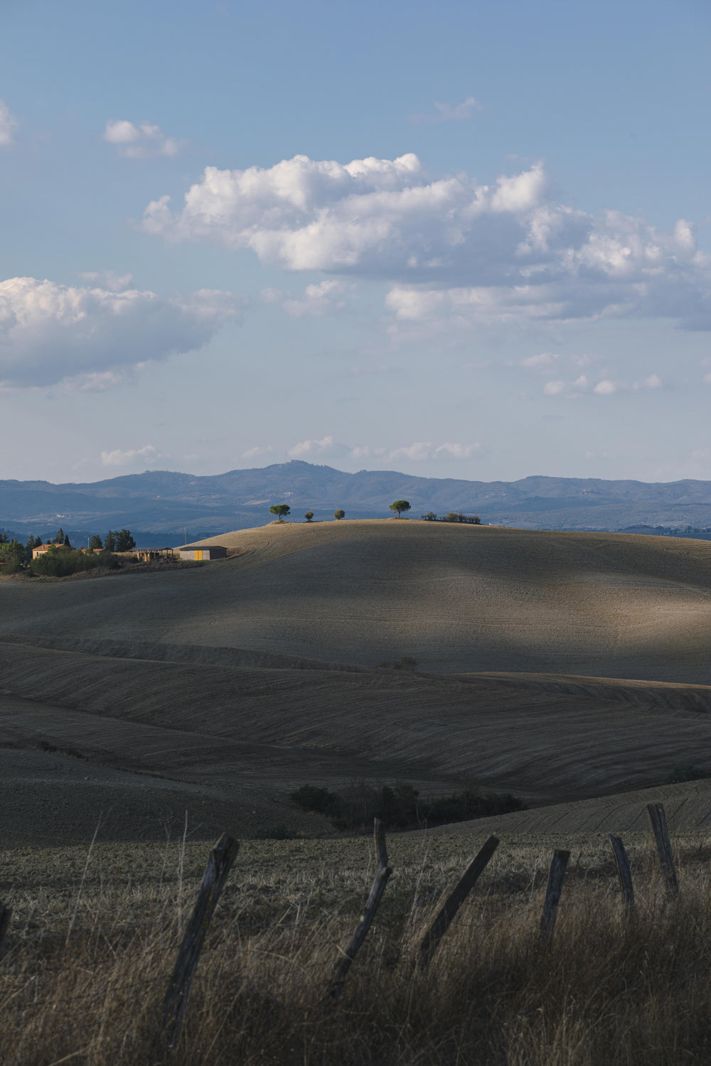 trees on the top of a hill in the distance