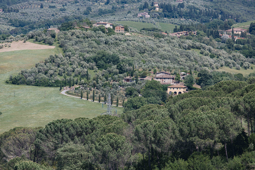 trees surround house in vast landscape