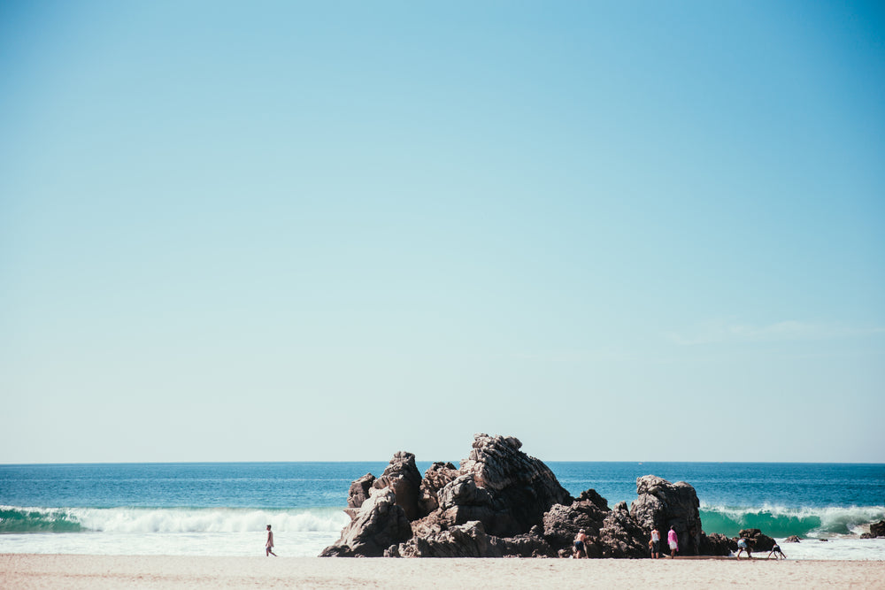 tropical beach shore