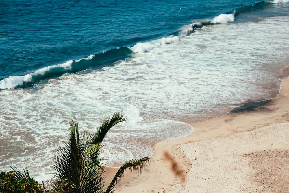 tropical beach