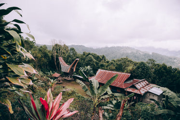 tropical flowers and palms overlook indonesian temple