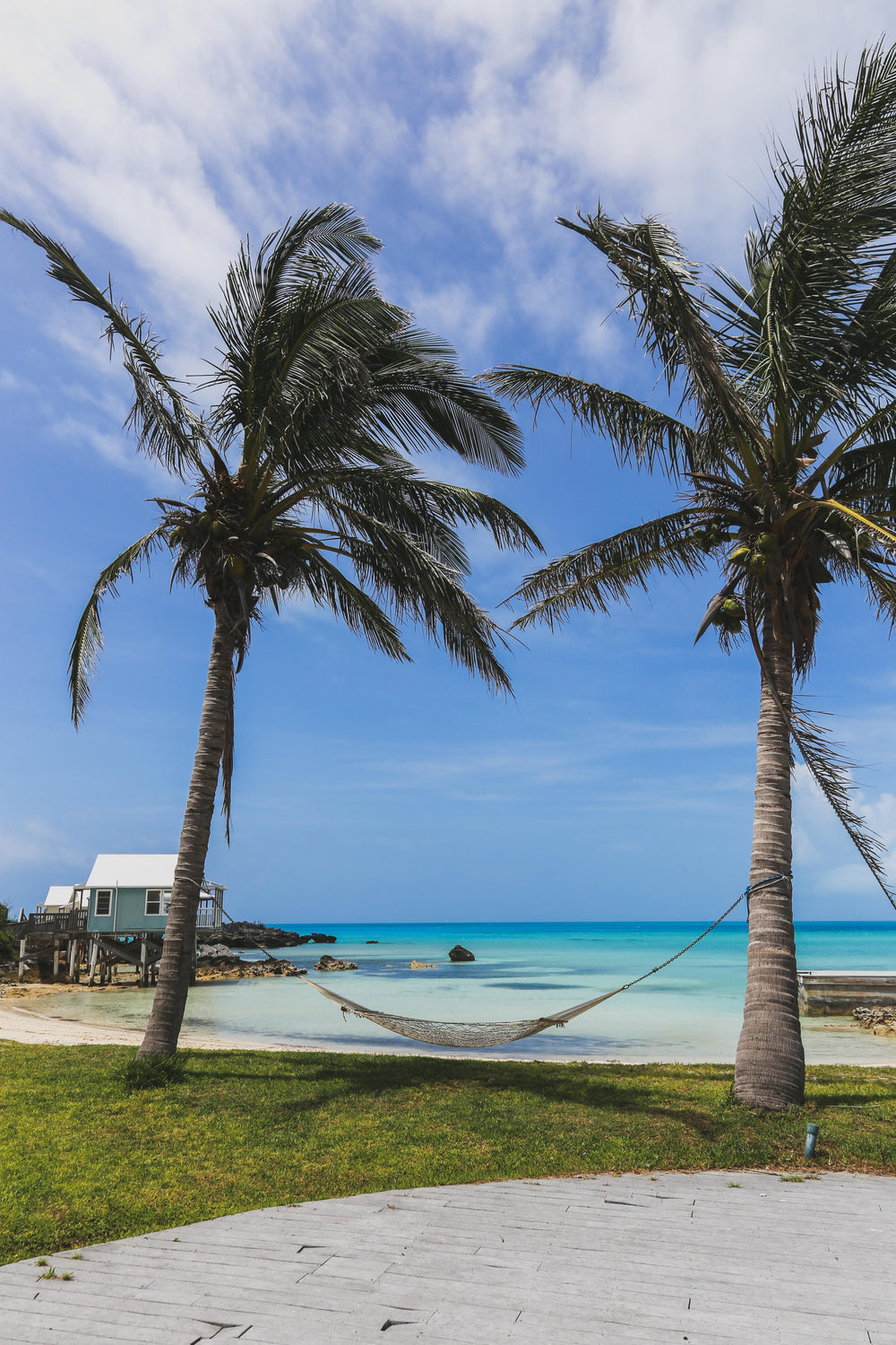 tropical hammock on the beach