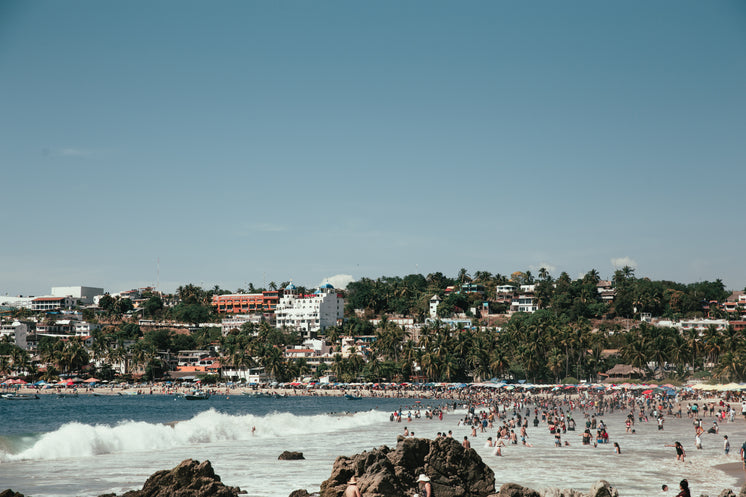 Tropical Urban Beach Shore