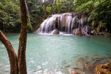 tropical waterfall