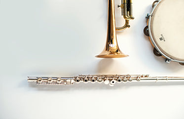 trumpet tamborine and flute instruments