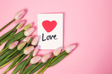 Free Tulip Flowers With Love Card Photo — High Res Pictures