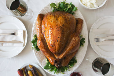 Free Turkey Dinner Setting Image: Browse 1000s of Pics