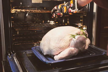 turkey going in oven