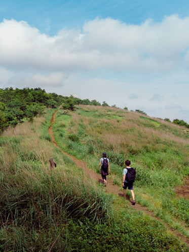 two backpackers taking the path on a green hill