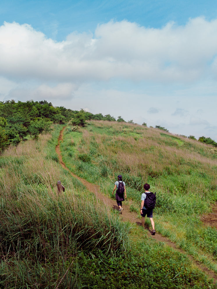 Two Backpackers Taking The Path On A Green Hill