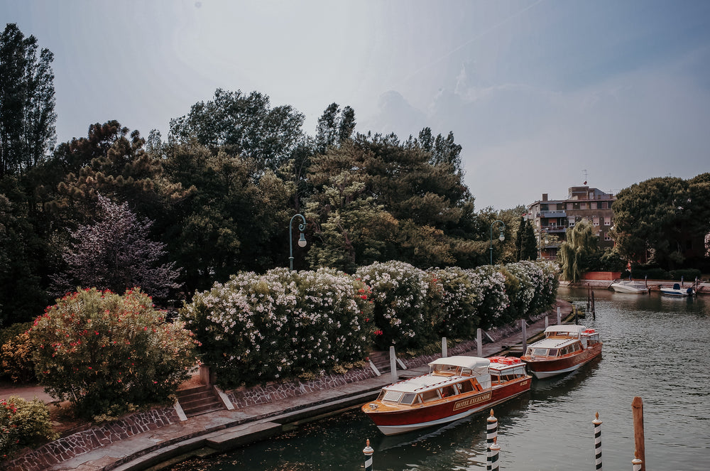 two boats docked on a river side by tall lush trees