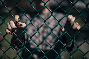 two hands clasp a wire fence