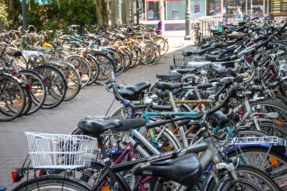 two lines of parked bicycles