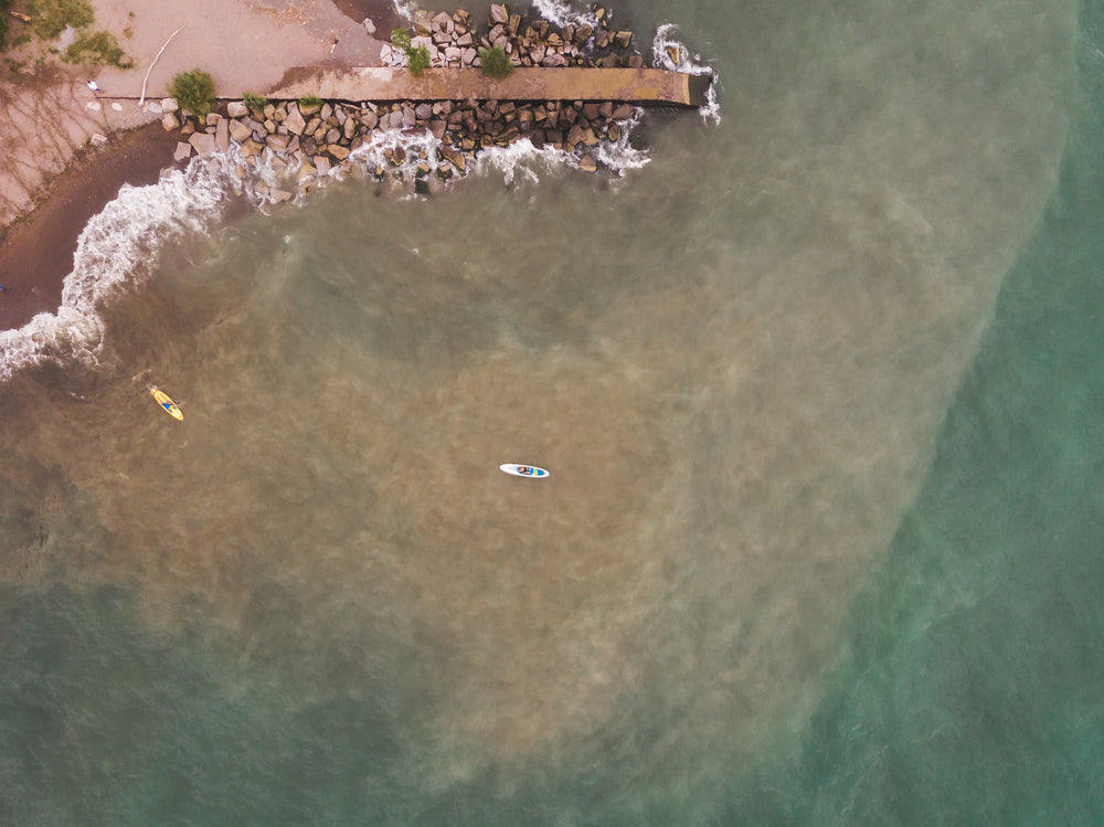 two paddleboarders coming into shore