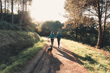 two people and their dog walk a hiking trail