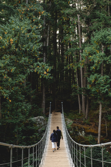two people hike towards a forest on a suspension bridge