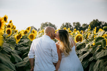 two people kissing while standing in a sunflower field