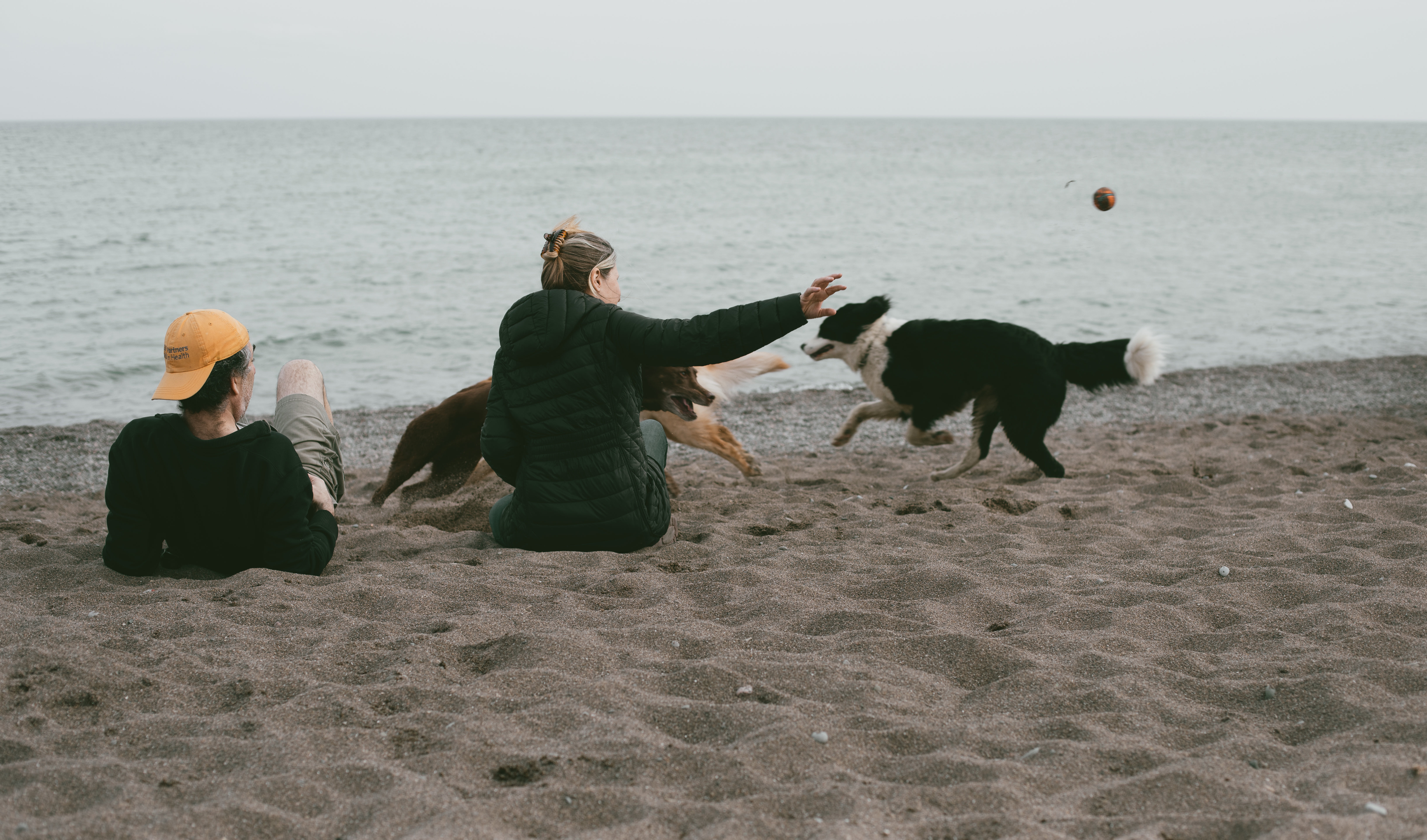 Two People Sit On A Beach Throwing A Ball For Two Dogs