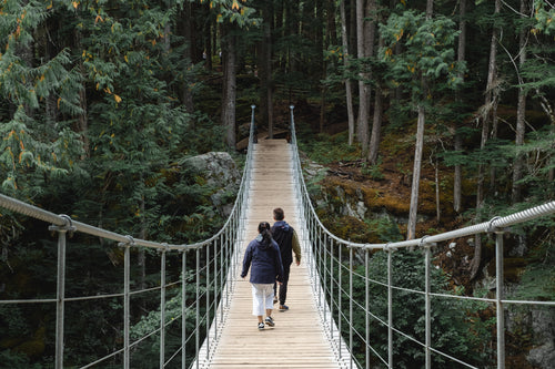 two people walk on a suspension bridge towards a forest