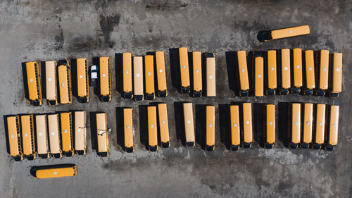 two rows of school busses