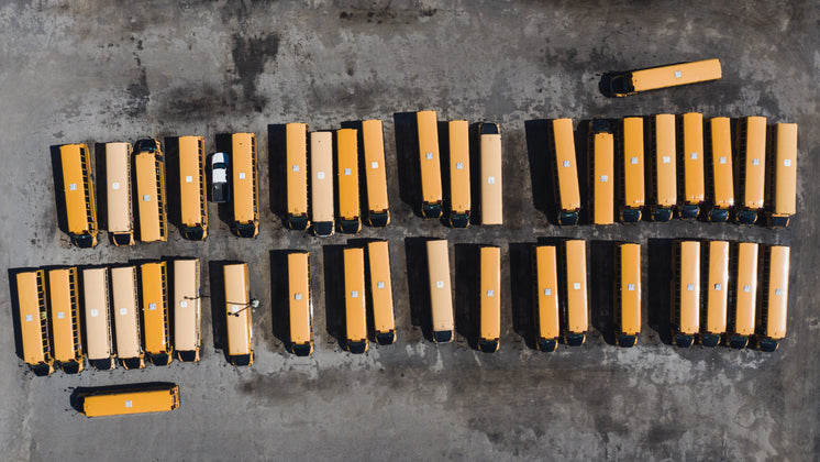 Two Rows Of School Busses