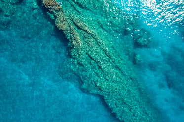 two tiny little people explore coral reef as seen from drone