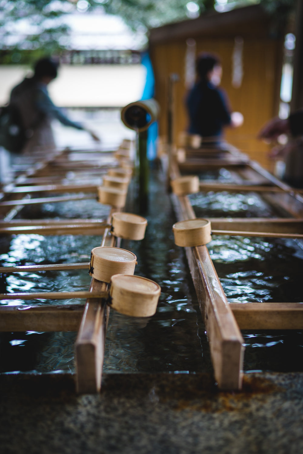 two wooden ladders lay over water