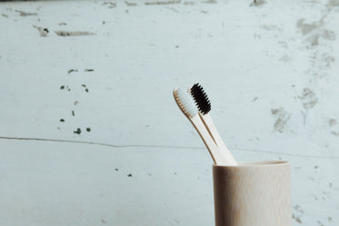 two wooden toothbrushes in a wooden cup