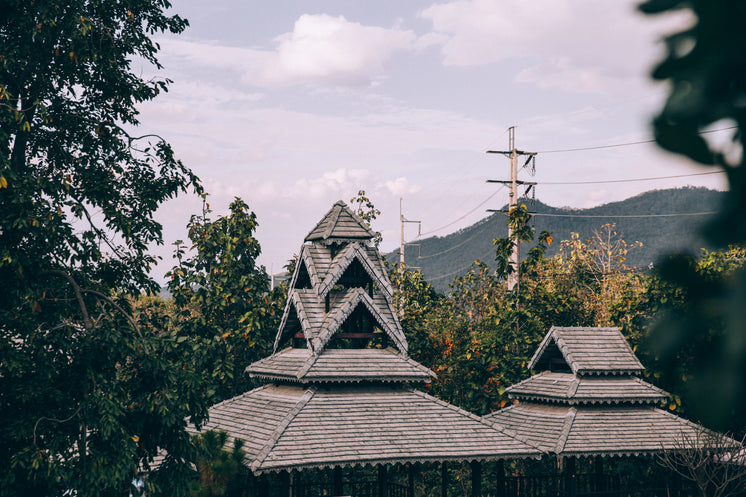 unique-multi-level-roof.jpg?width=746&fo