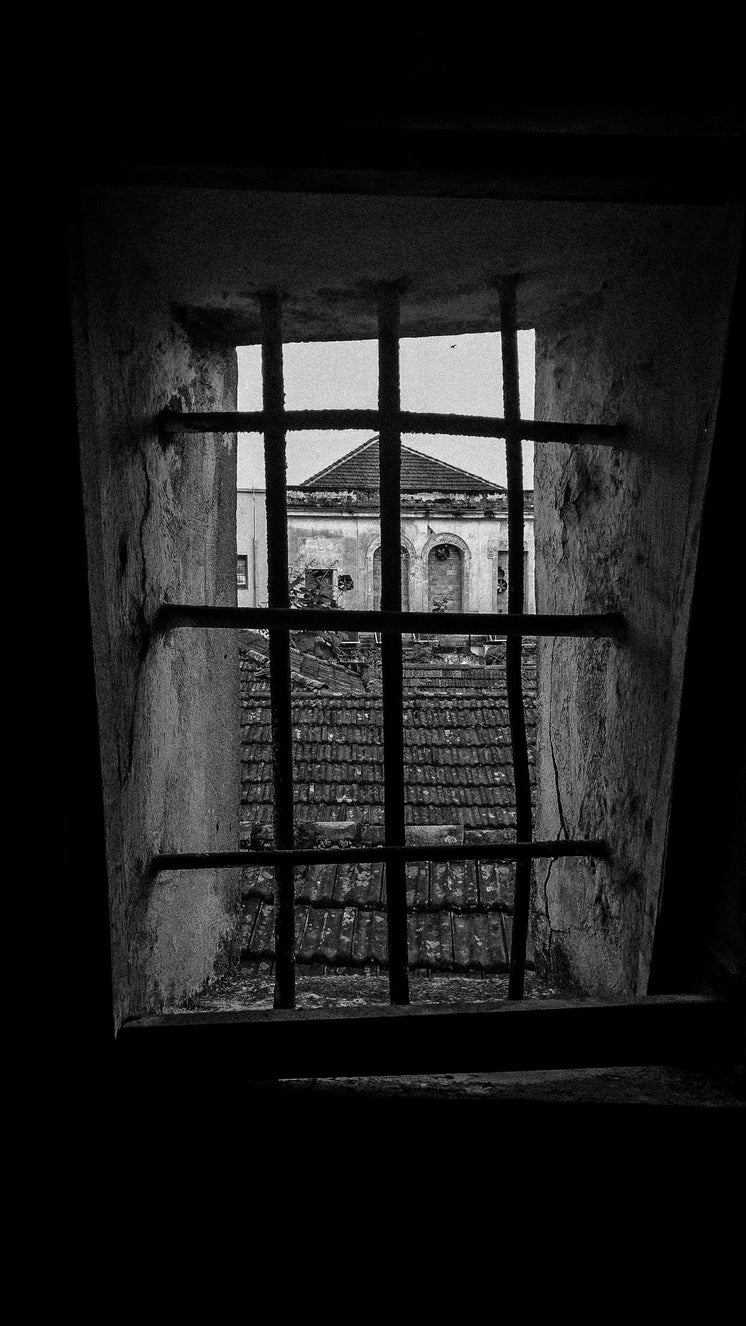 Up Stairwell Through Bars