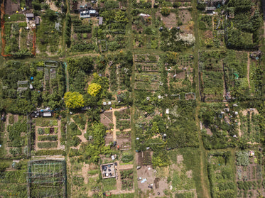urban community garden aerial