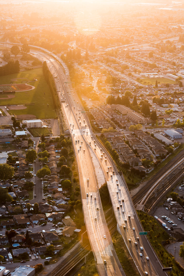 Urban Freeway With Sun Flare