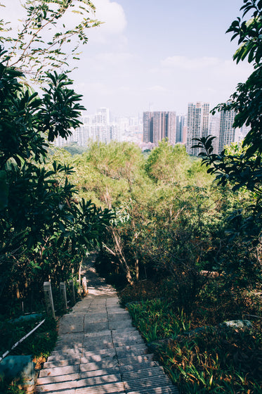 urban woody park path