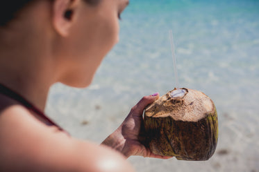 vacation holiday coconut drink