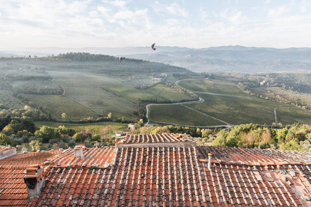 valley view from a roof top