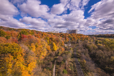 valley with fall colors