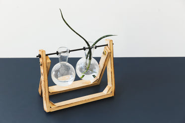 vase made from round bottom flasks on wooden frame