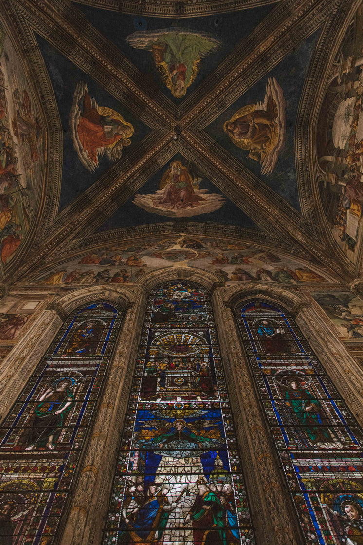 vaulting-of-ornately-decorated-chapel.jp