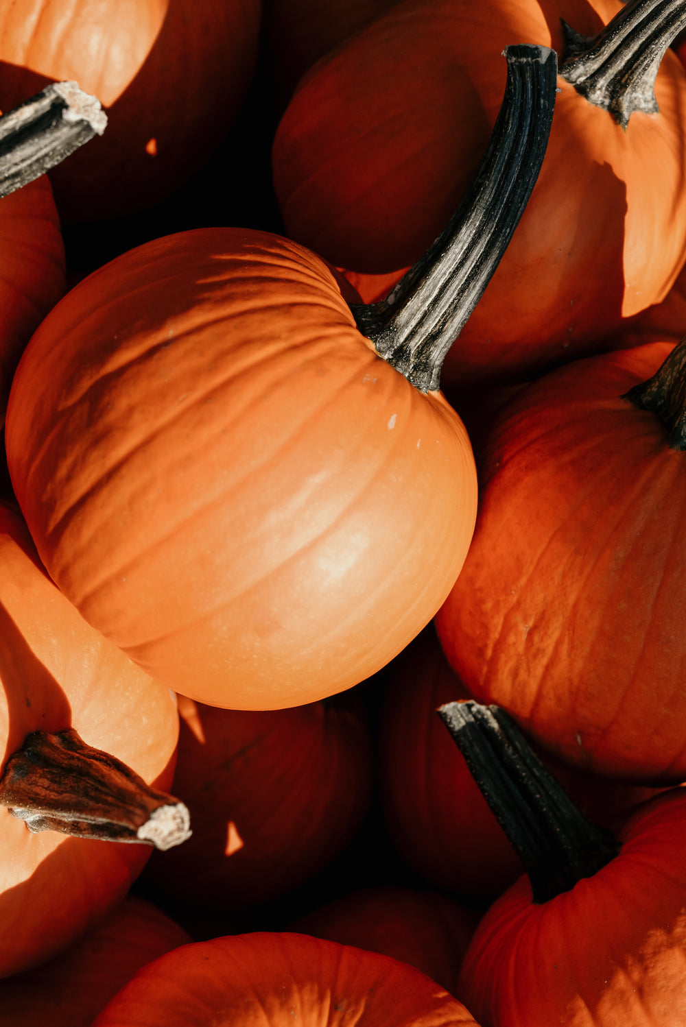 vertical pumpkin pile