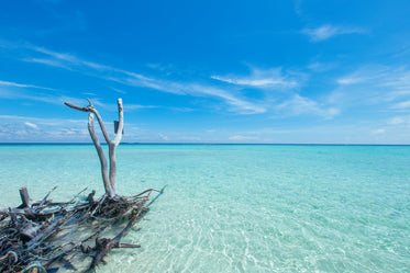 vibrant blue water reaches out to blue sky