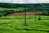vibrant green hills with poles connected by wire
