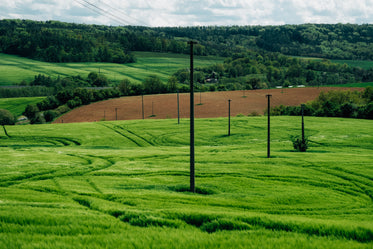 vibrant green hills with poles connected by wire