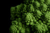 vibrant green romanesco broccoli up close
