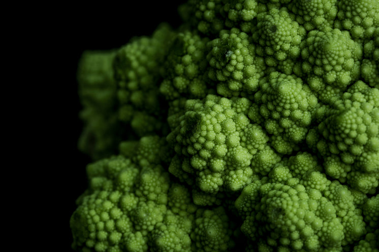 vibrant-green-romanesco-broccoli-up-close.jpg?width=746&format=pjpg&exif=0&iptc=0