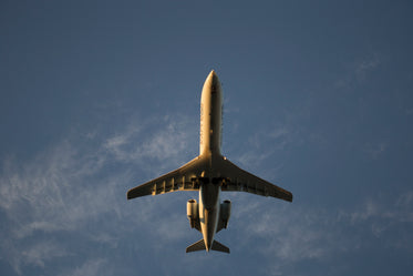 view of a low flying plane above