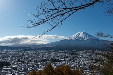 view of a mountain and white rooftops from above