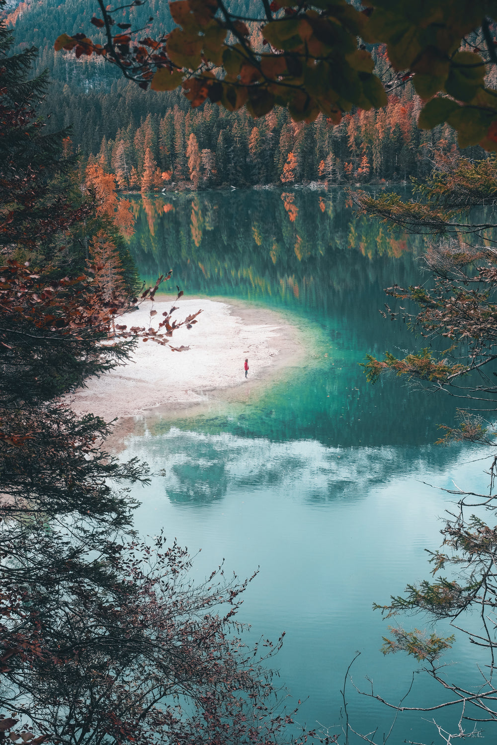 view of crystal clear lake and colorful trees