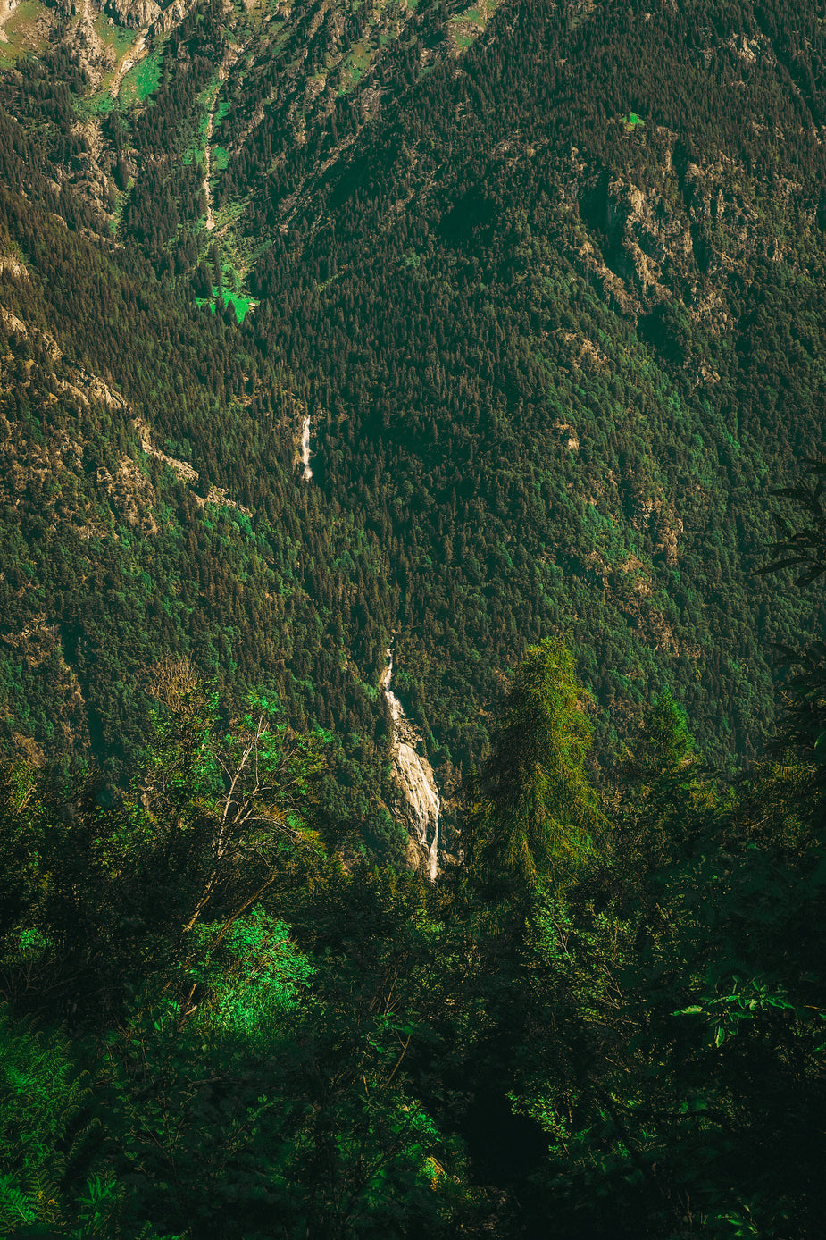 View Over Trees Free View Of Trees From Above Image: Stunning Photography